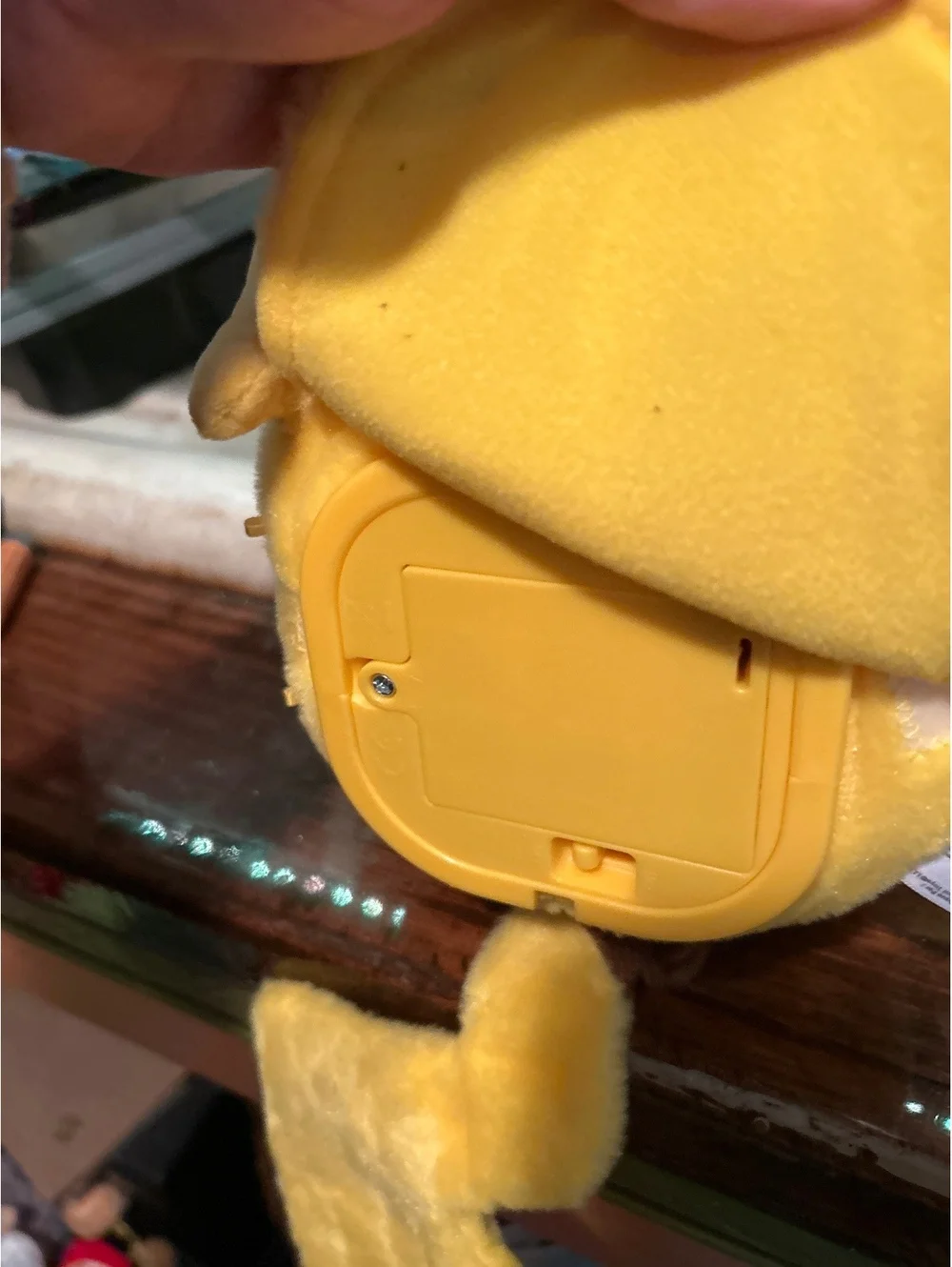 Pokemon this detective